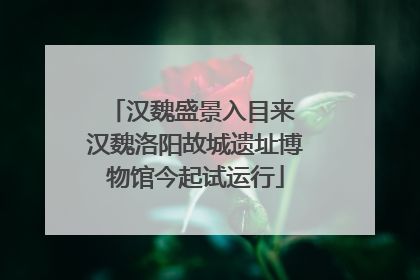 汉魏盛景入目来 汉魏洛阳故城遗址博物馆今起试运行