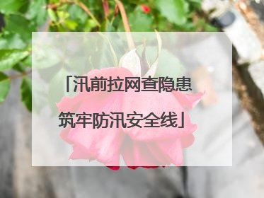 汛前拉网查隐患 筑牢防汛安全线