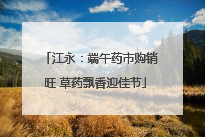 江永：端午药市购销旺 草药飘香迎佳节