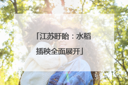 江苏盱眙：水稻插秧全面展开