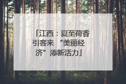 江西：夏至荷香引客来 “美丽经济”添新活力