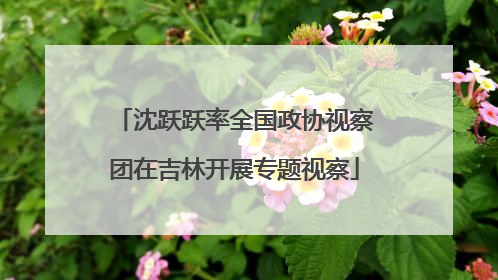 沈跃跃率全国政协视察团在吉林开展专题视察