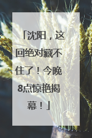 沈阳，这回绝对藏不住了！今晚8点惊艳揭幕！