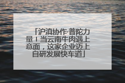 沪滇协作·普陀力量〡当云南牛肉遇上意面，这家企业迈上自研发展快车道