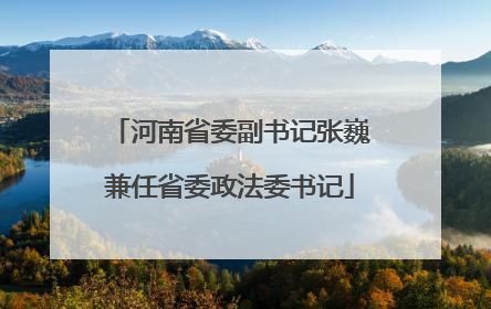 河南省委副书记张巍兼任省委政法委书记