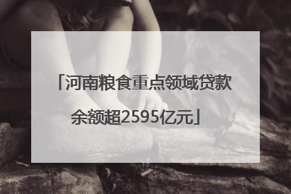 河南粮食重点领域贷款余额超2595亿元