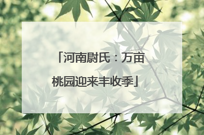 河南尉氏：万亩桃园迎来丰收季