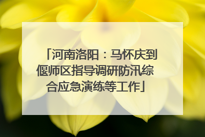 河南洛阳：马怀庆到偃师区指导调研防汛综合应急演练等工作