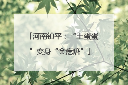 河南镇平：“土蛋蛋”变身“金疙瘩”