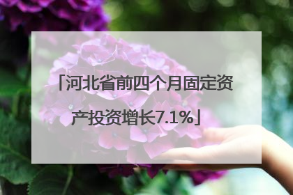河北省前四个月固定资产投资增长7.1%