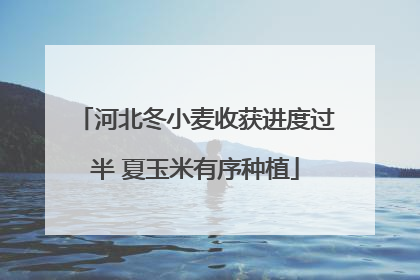 河北冬小麦收获进度过半 夏玉米有序种植