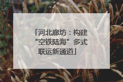 河北廊坊：构建“空铁陆海”多式联运新通道
