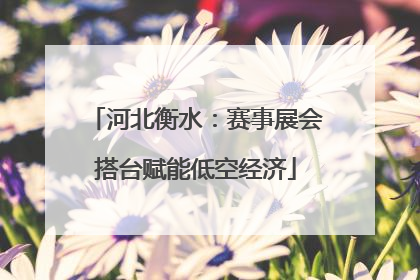 河北衡水：赛事展会搭台赋能低空经济