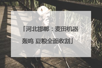 河北邯郸：麦田机器轰鸣 夏粮全面收割