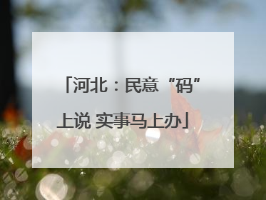 河北：民意“码”上说 实事马上办