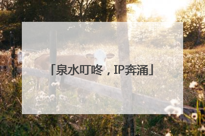 泉水叮咚，IP奔涌