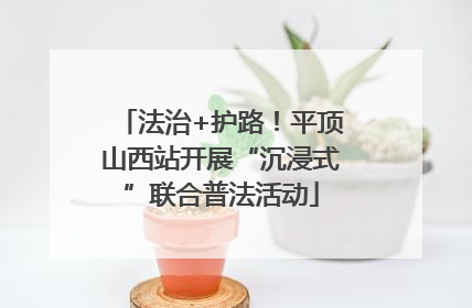 法治+护路！平顶山西站开展“沉浸式”联合普法活动