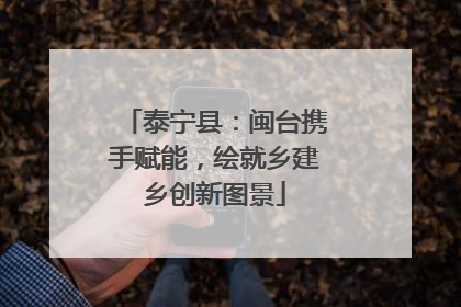 泰宁县：闽台携手赋能，绘就乡建乡创新图景