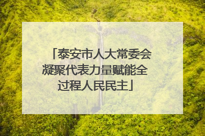 泰安市人大常委会凝聚代表力量赋能全过程人民民主