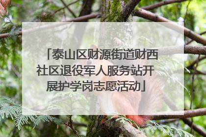 泰山区财源街道财西社区退役军人服务站开展护学岗志愿活动