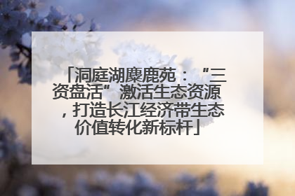 洞庭湖麋鹿苑：“三资盘活”激活生态资源，打造长江经济带生态价值转化新标杆