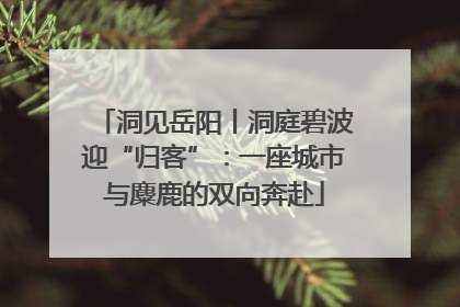洞见岳阳丨洞庭碧波迎“归客”：一座城市与麋鹿的双向奔赴