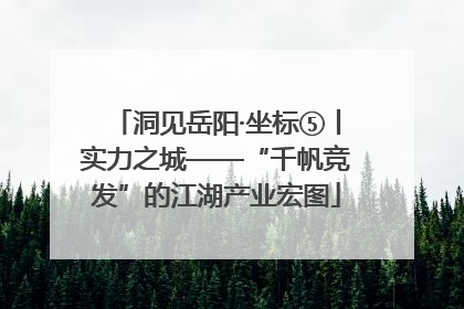 洞见岳阳·坐标⑤丨实力之城——“千帆竞发”的江湖产业宏图