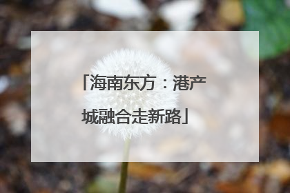 海南东方：港产城融合走新路