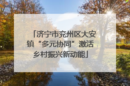 济宁市兖州区大安镇“多元协同”激活乡村振兴新动能