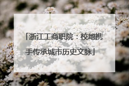 浙江工商职院：校地携手传承城市历史文脉