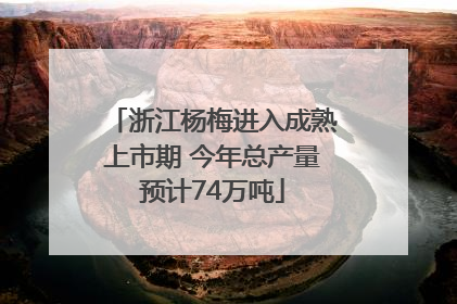 浙江杨梅进入成熟上市期 今年总产量预计74万吨