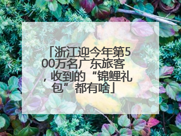 浙江迎今年第500万名广东旅客，收到的“锦鲤礼包”都有啥