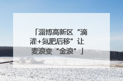 淄博高新区“滴灌+氮肥后移”让麦浪变“金浪”