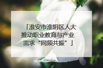 淮安市淮阴区人大推动职业教育与产业需求“同频共振”
