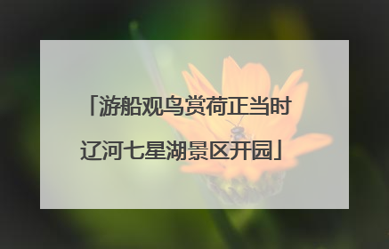游船观鸟赏荷正当时 辽河七星湖景区开园