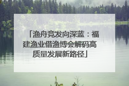 渔舟竞发向深蓝：福建渔业借渔博会解码高质量发展新路径