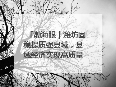 渤海眼｜潍坊固稳提质强县域，县域经济实现高质量发展新突破