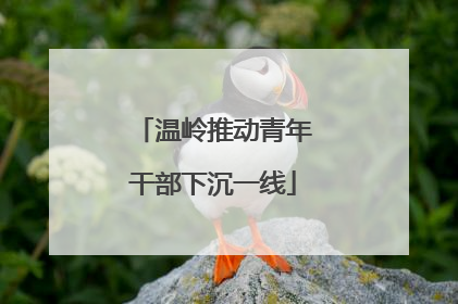 温岭推动青年干部下沉一线