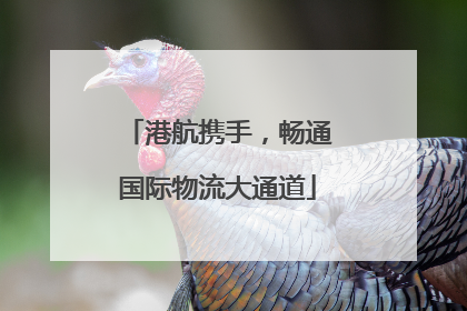 港航携手，畅通国际物流大通道