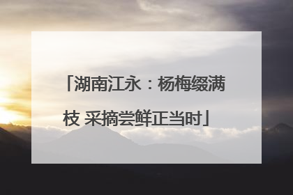 湖南江永：杨梅缀满枝 采摘尝鲜正当时