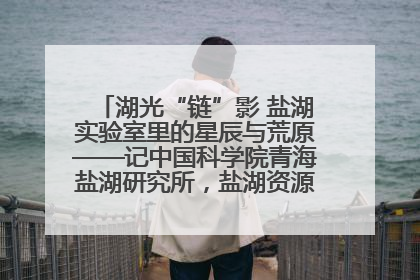湖光“链”影 盐湖实验室里的星辰与荒原——记中国科学院青海盐湖研究所，盐湖资源化学实验室党总支书记、副主任刘忠