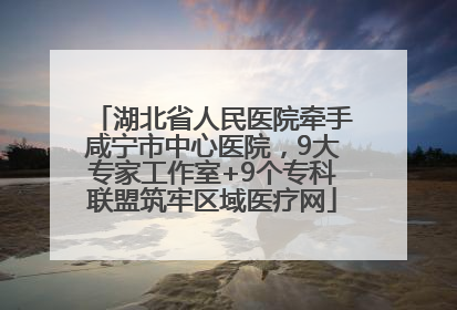 湖北省人民医院牵手咸宁市中心医院，9大专家工作室+9个专科联盟筑牢区域医疗网