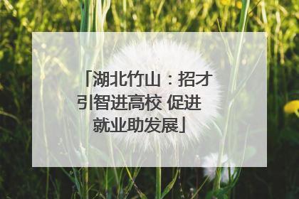 湖北竹山：招才引智进高校 促进就业助发展