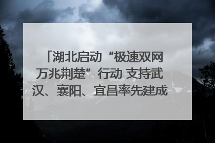 湖北启动“极速双网 万兆荆楚”行动 支持武汉、襄阳、宜昌率先建成“万兆先锋城市”