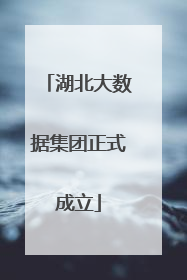 湖北大数据集团正式成立