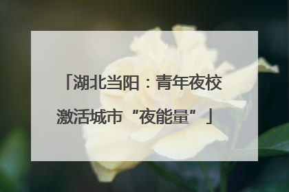 湖北当阳：青年夜校激活城市“夜能量”