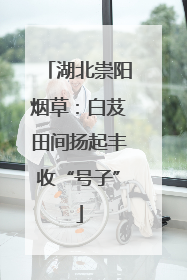 湖北崇阳烟草：白芨田间扬起丰收“号子”
