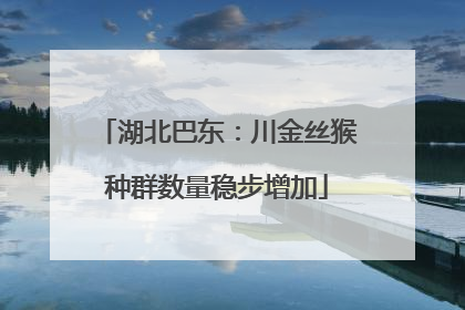 湖北巴东：川金丝猴种群数量稳步增加