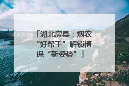 湖北房县：烟农“好帮手”解锁植保“新姿势”