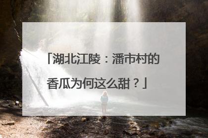 湖北江陵：潘市村的香瓜为何这么甜？